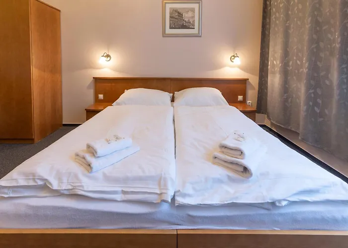 Slovan Hotell 3*